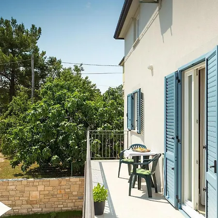Tatil Evi Quercus Alba *